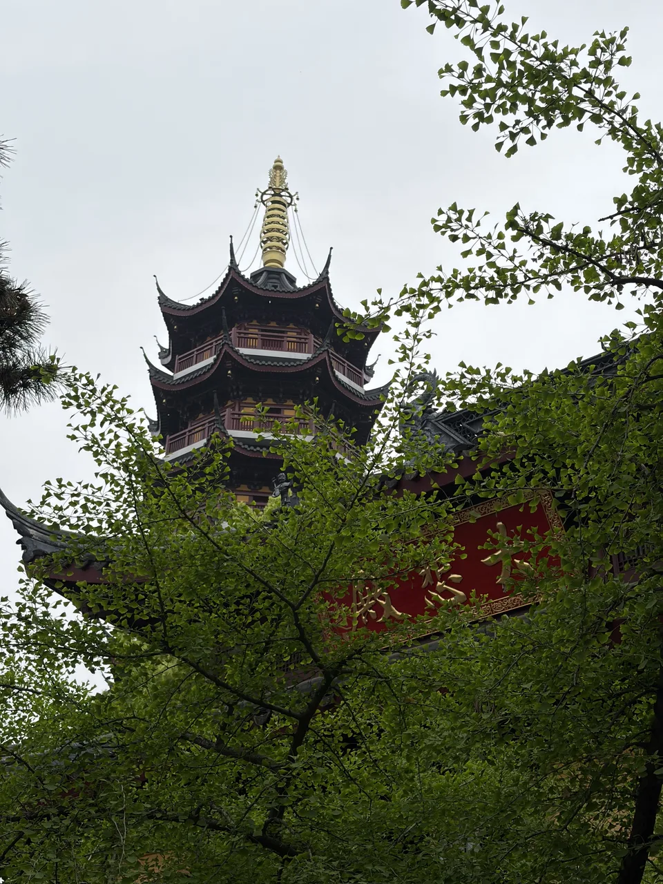 绿树掩映中的中式古塔